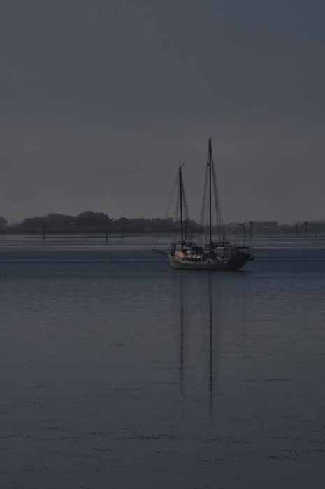 Tomales Bay